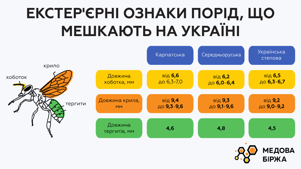 Экстерьерные признаки пород, обитающих в Украине