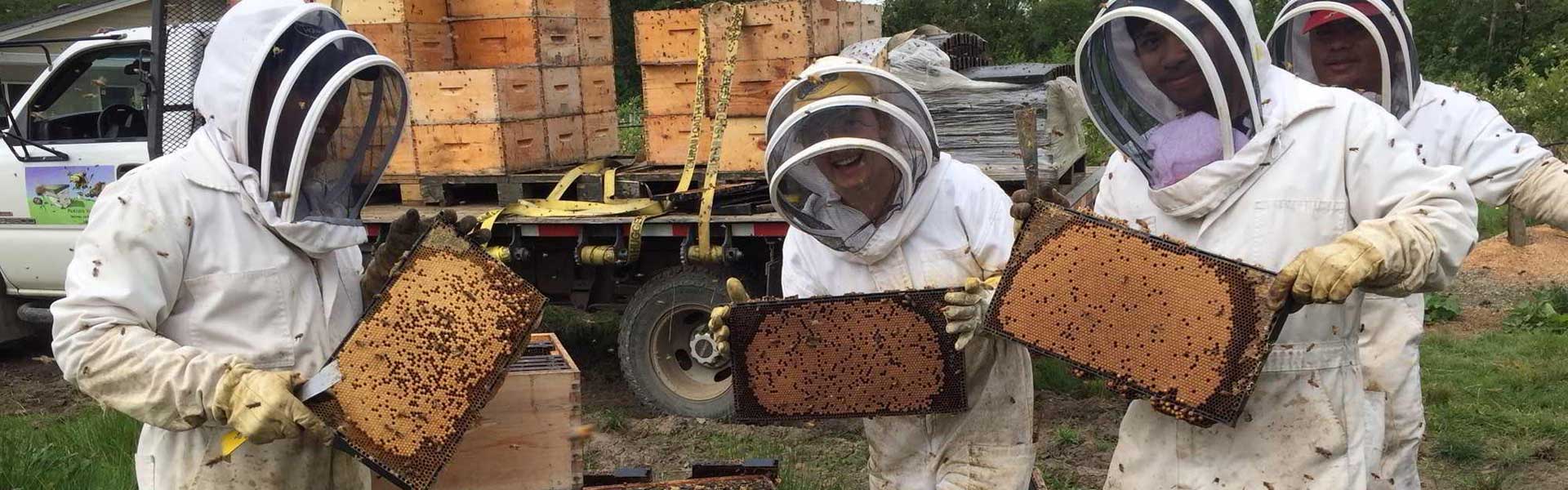 Промышленная пасека