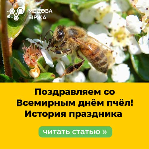 Международный день пчел картинки