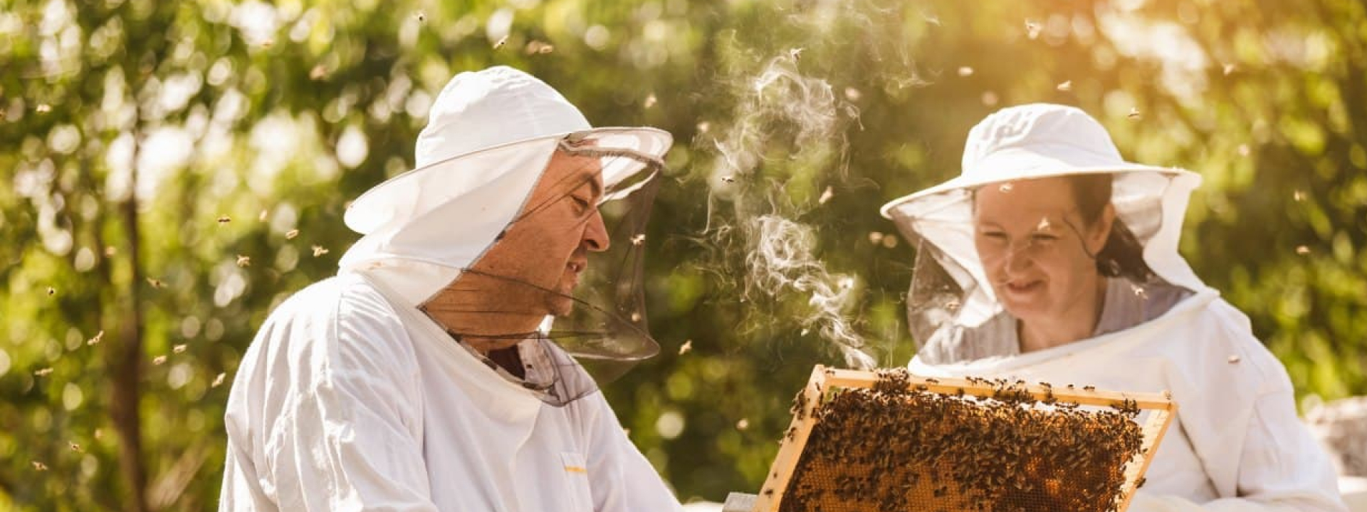 Исследования и проекты немецкого института пчеловодства LIB